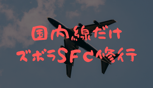 【SFC修行】ANA国内路線のみで簡単に達成する方法【まとめ】
